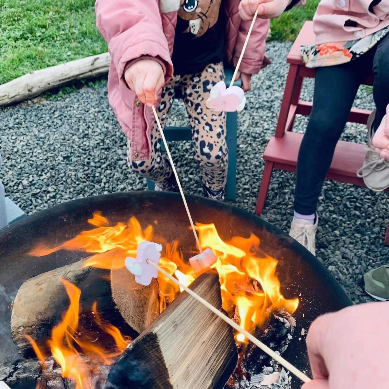 Carrowmena School House & Glamping 호텔 리머배디 외부 사진